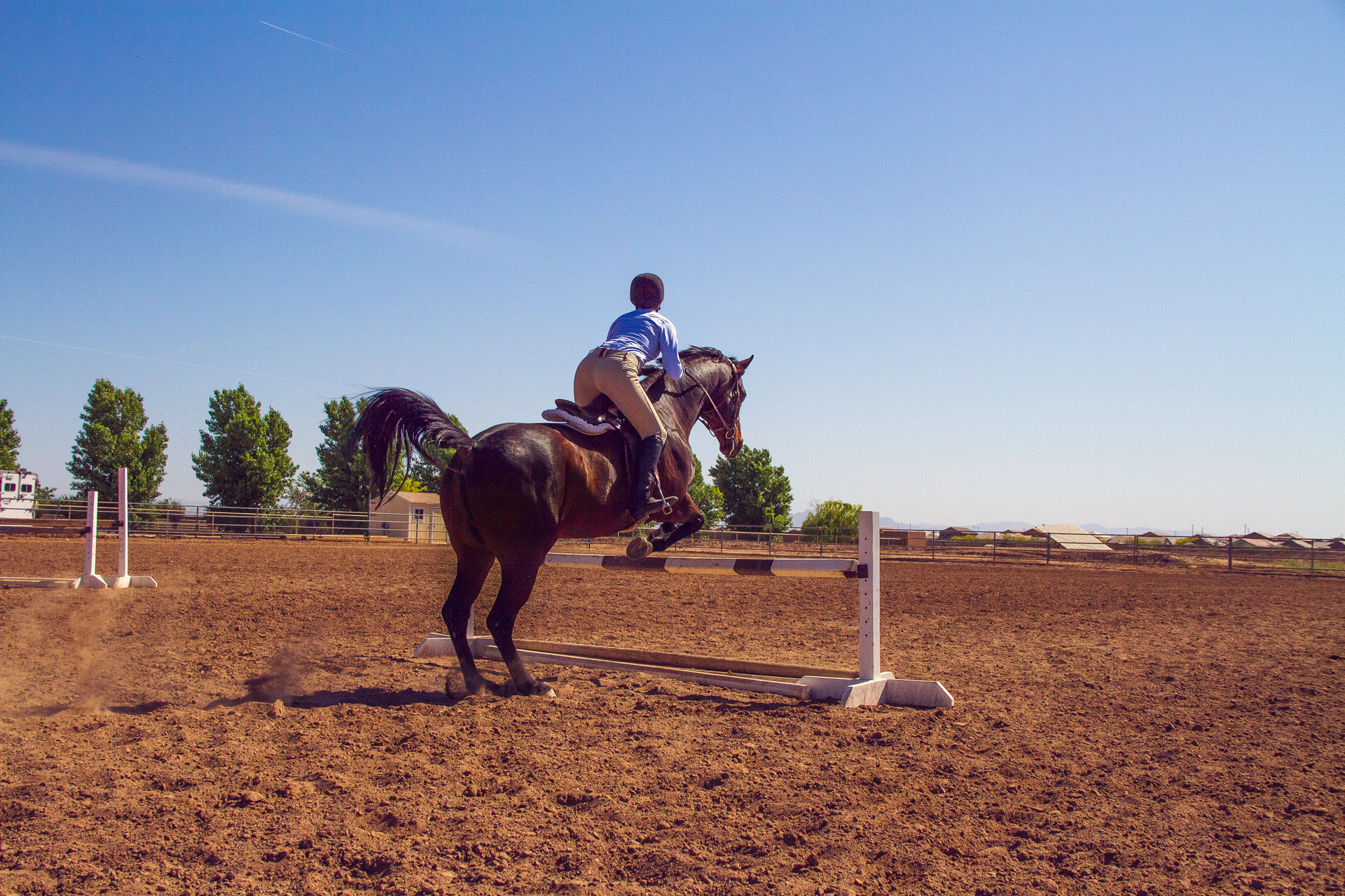 Will Asked Me Too™ | Lauren Galdarisi  |  Equestrian Love |  Volume 02 Issue 15  |  willaskedmetoo.com